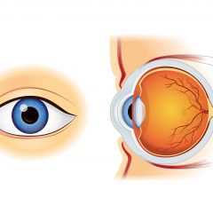 Eye Health