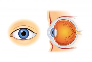 Eye Health